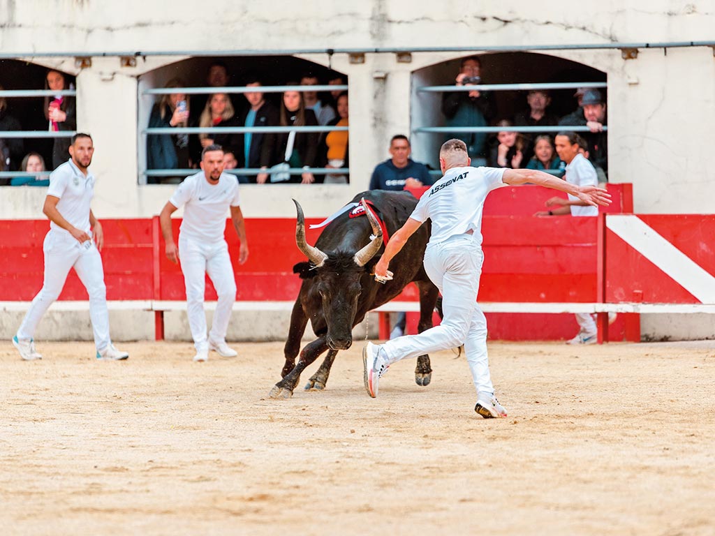 Course Camarguaise