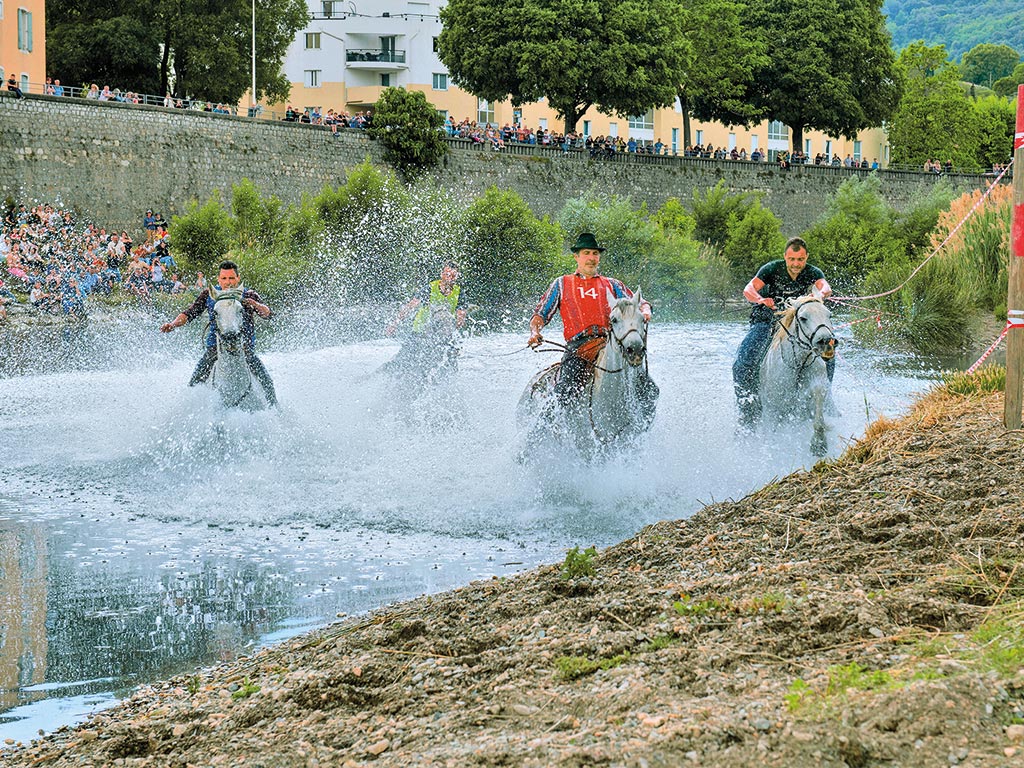 30e concours d'abrivados Remise trophée et coupes