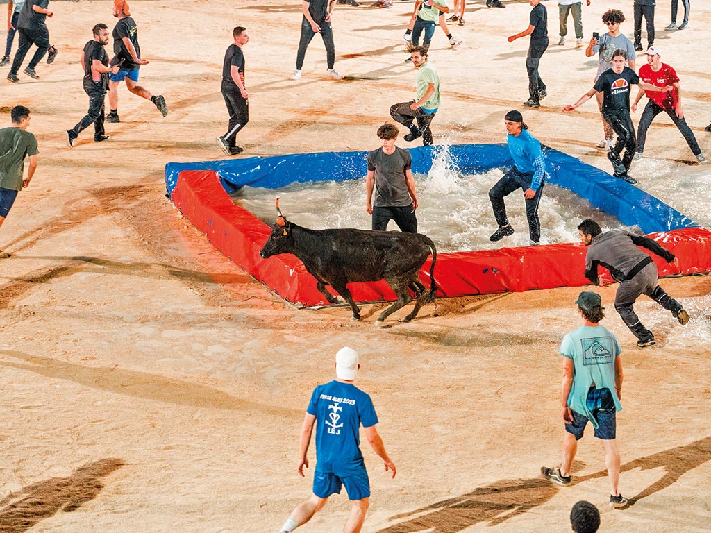 Toro piscine