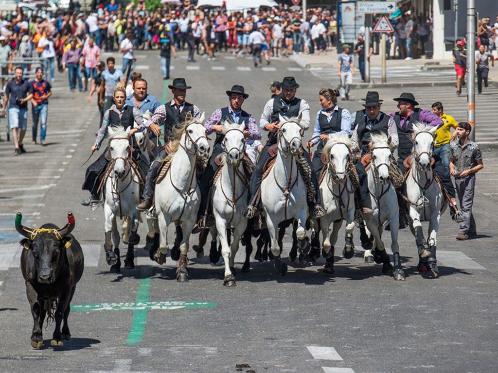 30e concours d'abrivados