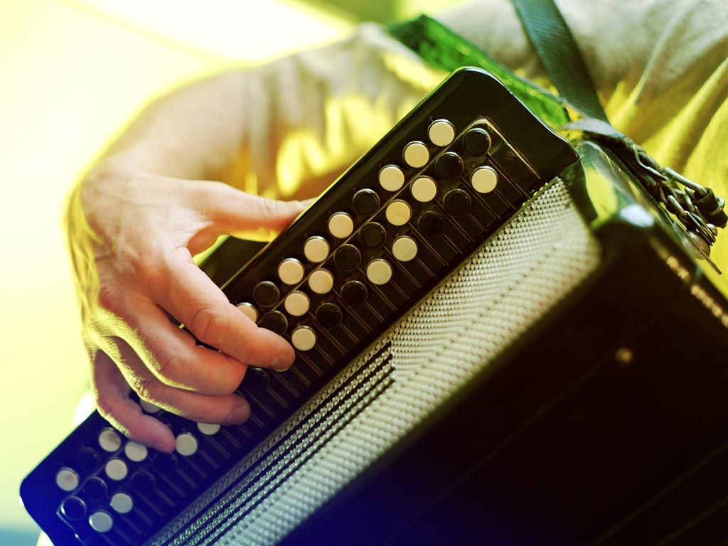 Accordéon Orchestre Alain Mayo