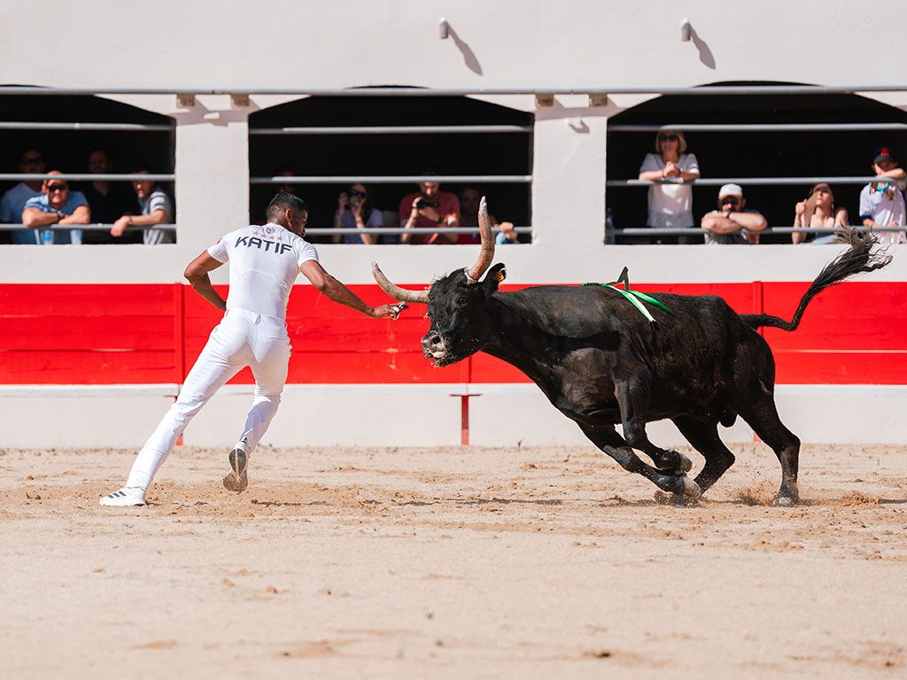 Course-Camarguaise_Trophée-des-AS Course Camarguaise