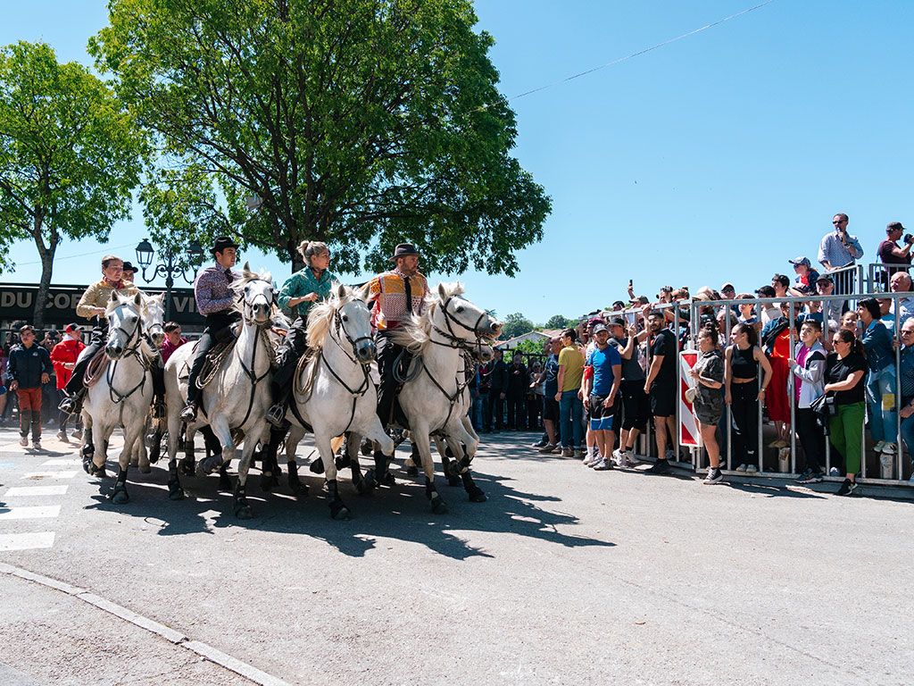 Festival-d’abrivados