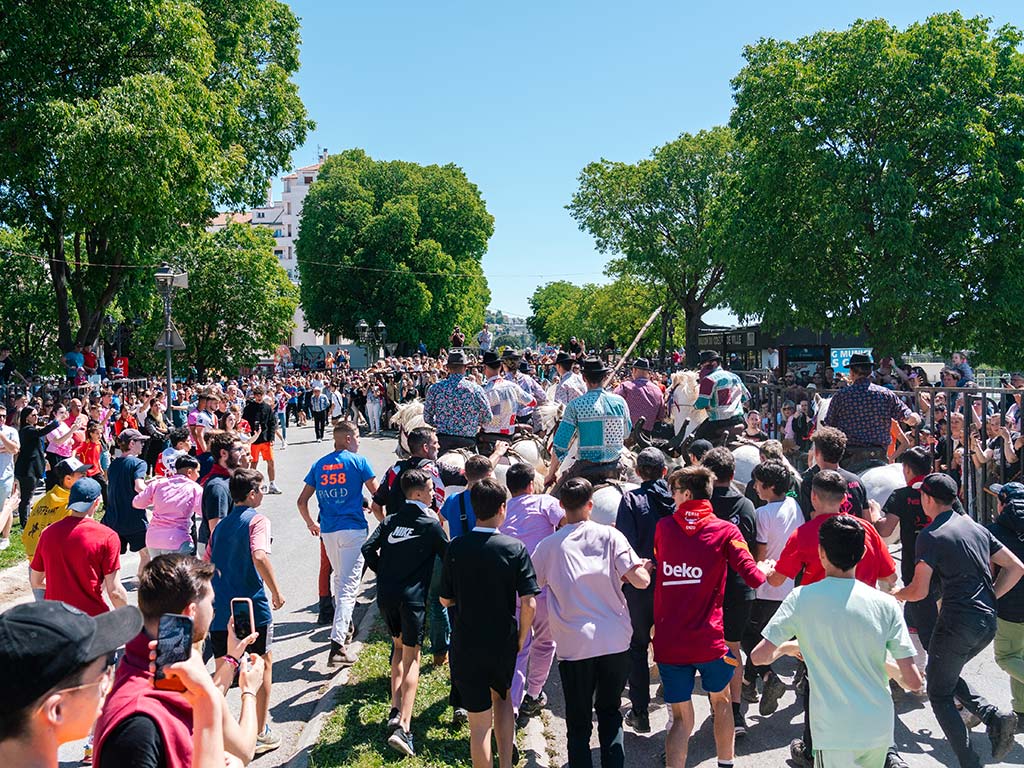 Tirage au sort du concours d’Abrivados