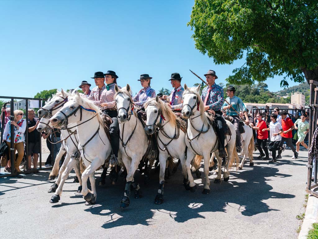 Concours d'abrivados