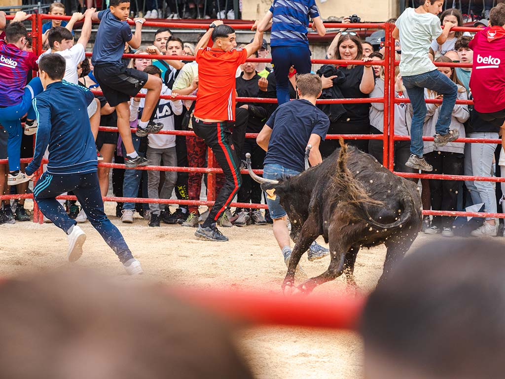La Feria des enfants - Le patio des pitchouns