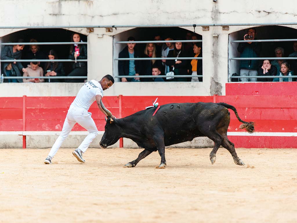 Course Camarguaise - Trophée des AS