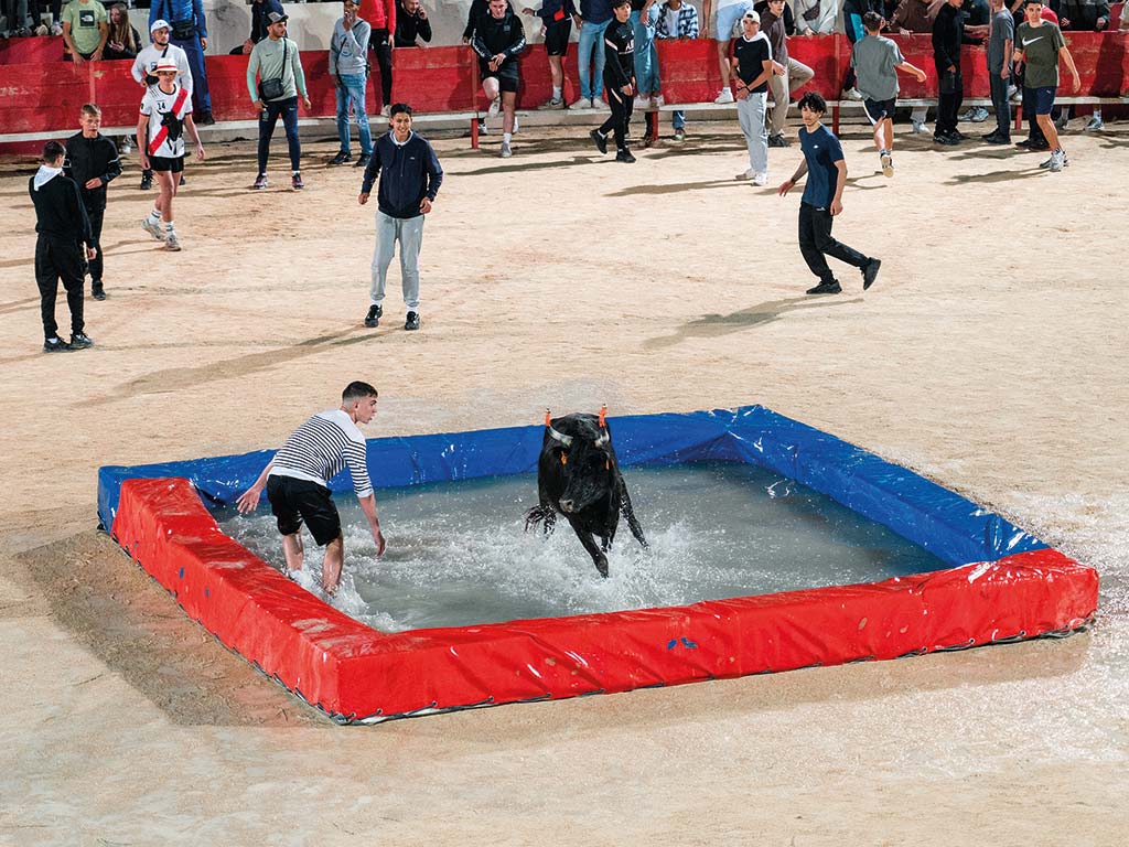 Toro piscine